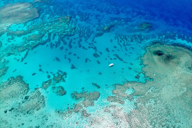 ABC Reef Safaris - Is $458.32 fair value?