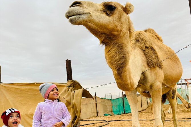 Abu Dhabi: 4x4 Desert Safari and Sandboarding. - Camels, feeding, and a short traditional ride