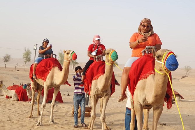 Abu Dhabi city tour & desert safari from Dubai - Who Will Get the Most From This Tour?