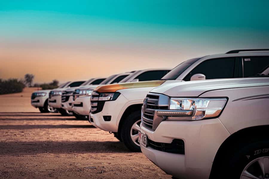 Abu Dhabi: Desert Safari with BBQ, Belly & Tannura Dance - Al Khatim Desert: 45 minutes of dune bashing