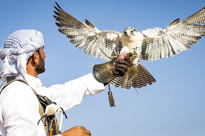Abu Dhabi: Desert Safari with BBQ, Camel Ride & Sandboarding - Is $89 good value for six hours?