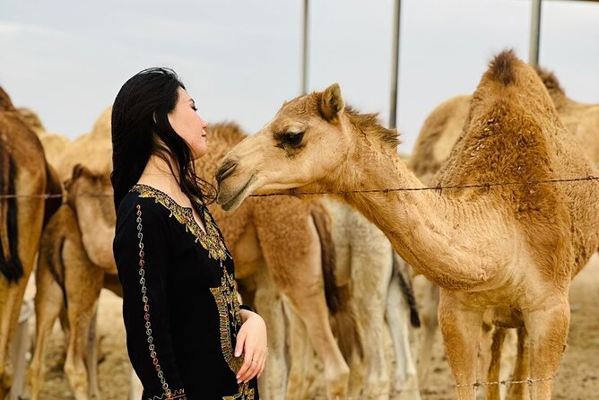 Abu Dhabi Desert Safari With BBQ Dinner & Live Shows - Henna, sheesha, and the camp atmosphere