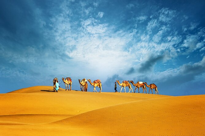 Abu Dhabi Evening Desert Safari Adventure - Key points to know before you book
