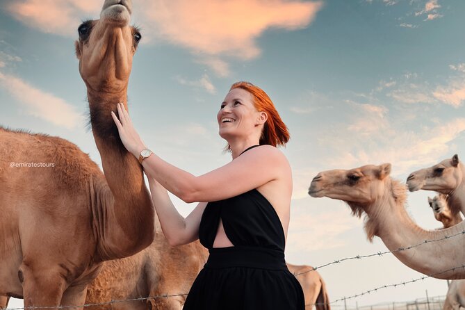Abu Dhabi Evening Desert Safari BBQ, Camel Ride, Entertainments - What to wear and how to prepare