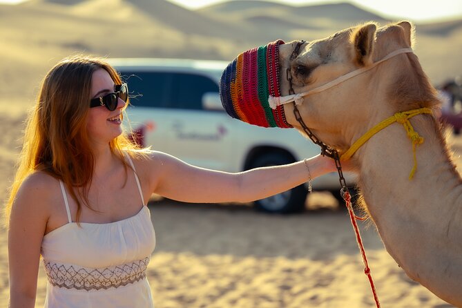 Abu Dhabi Evening Desert Safari - Dune bashing Camel ride and BBQ - What dune bashing feels like