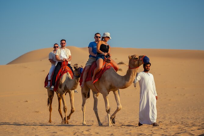 Abu Dhabi Evening Desert Safari - Private car Dune bashing & BBQ - Key points to know before booking