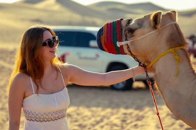 Abu Dhabi Evening Desert Safari - Private car Dune bashing & BBQ - Camel photos, falcon pictures, henna and shisha