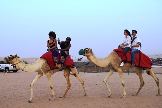 Abu Dhabi Evening Desert Safari with BBQ Dinner and all Camp Activities - A six-hour Abu Dhabi desert evening