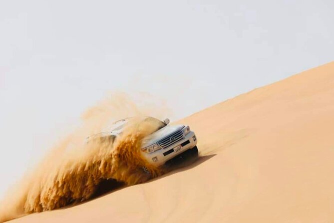 Abu Dhabi: Evening Desert Safari with Camel Ride, BBQ & Live Show - Camel farm, feeding, and the short ride