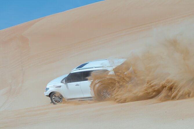 Abu Dhabi Full-Day Desert Safari - Key points at a glance