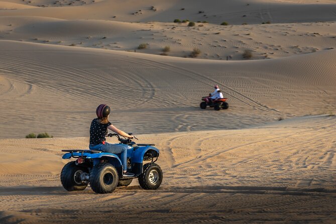 Abu Dhabi Full-Day Desert Safari - The drive to Al Khatim and the first desert views