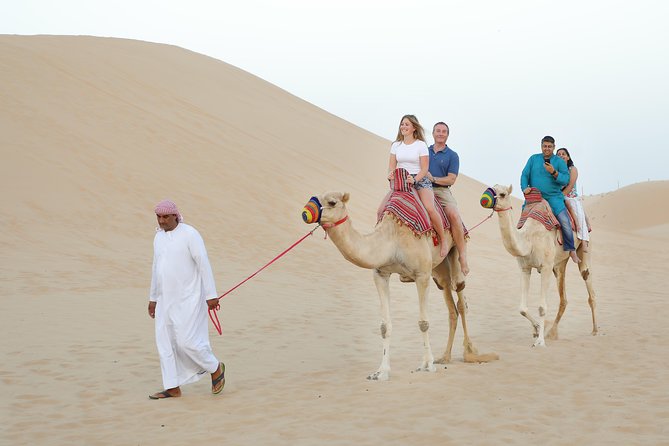 Abu Dhabi Half Day Desert Safari - From Abu Dhabi streets to open desert