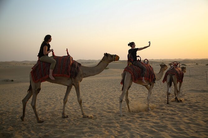 Abu Dhabi Half Day Desert Safari - What the guides add to the experience