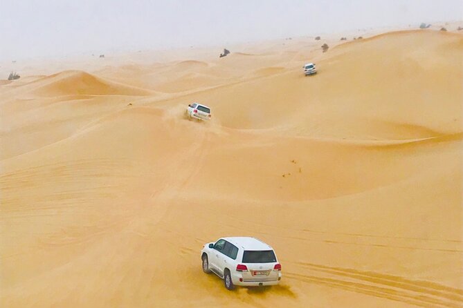 Abu Dhabi Morning Desert Safari - A fast morning route into the Abu Dhabi desert