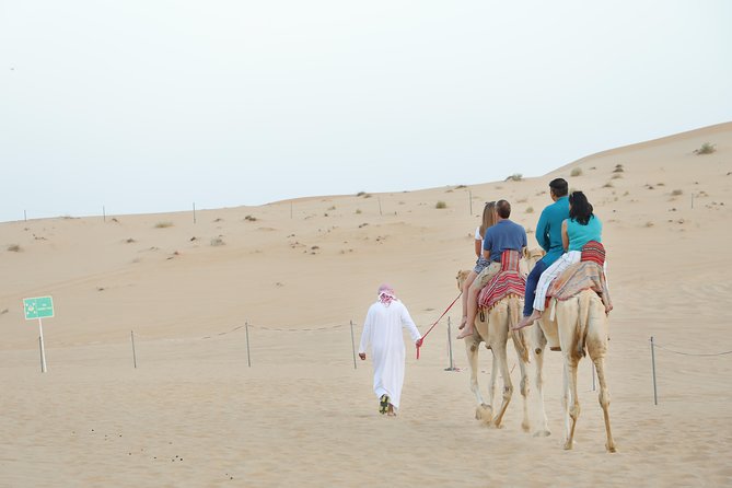 Abu Dhabi Morning Desert Safari - Why the morning timing matters