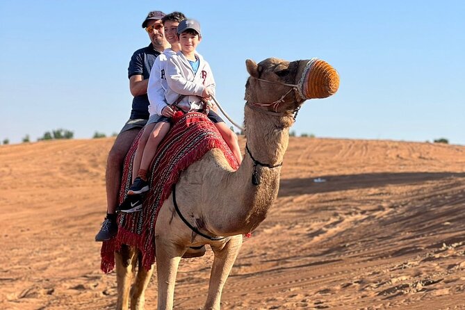Abu Dhabi morning desert safari - Private car - Sandboarding on the Arabian dunes