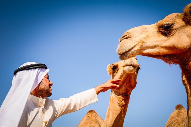Abu Dhabi: Morning Desert Safari with Camels and Sandboarding - Leaving Abu Dhabi for the open desert