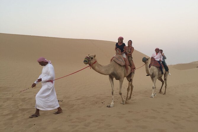 Abu Dhabi Morning Desert Safari - The 4WD drive and dune bashing