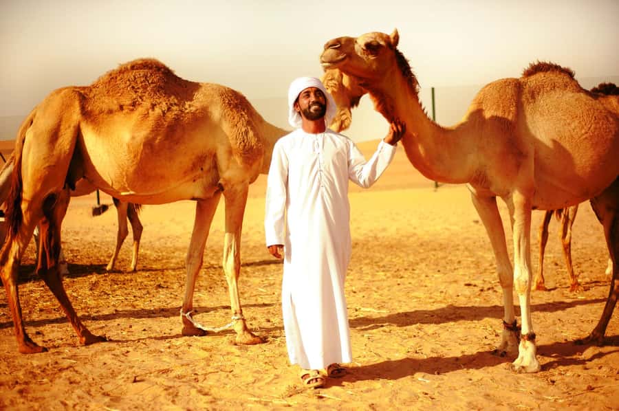 Abu Dhabi: Overnight Desert Safari - Key points to know before booking