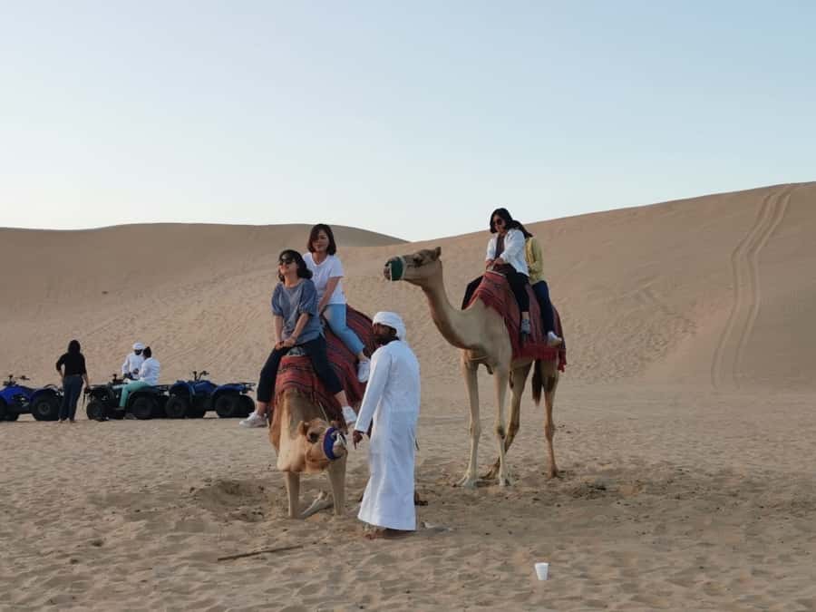 Abu Dhabi: Overnight Desert Safari - Dune bashing, camel farms, and sandboarding