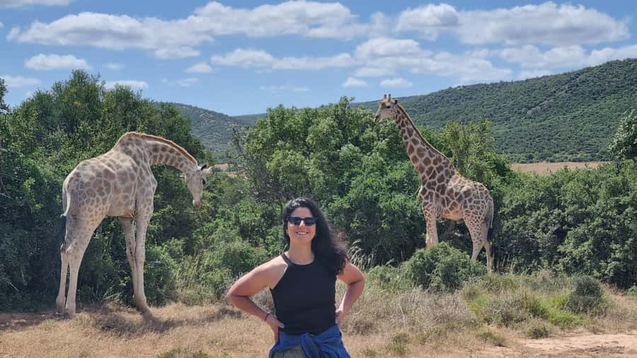 Addo Elephant Park and Giraffe Walk Full Day Safari - Six hours among Addo’s elephants