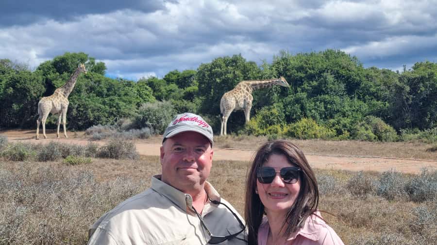 Addo Elephant Park and Giraffe Walk Private Full Day Safari - Why a private safari changes the experience