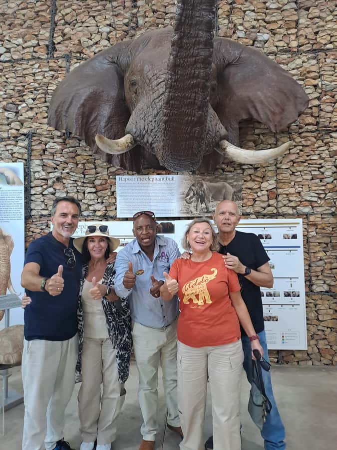 Addo Elephant Park:Safari Tour meet Big 5 to be satisfied - Key points at a glance