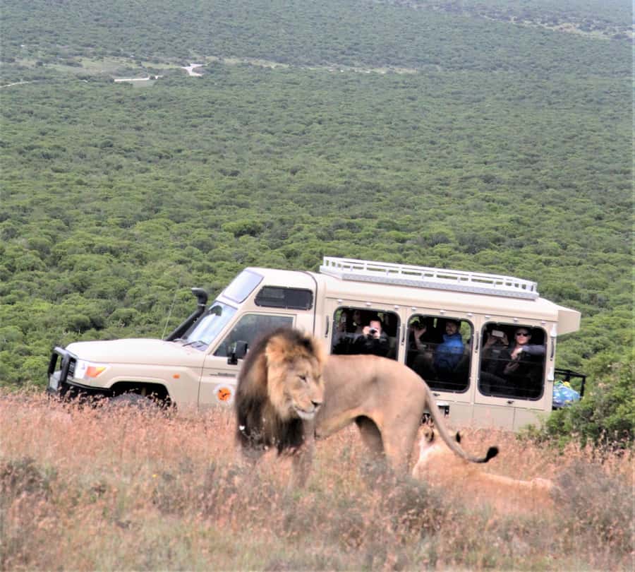 Addo National Park: Full-Day Safari Tour - The northern and southern sections