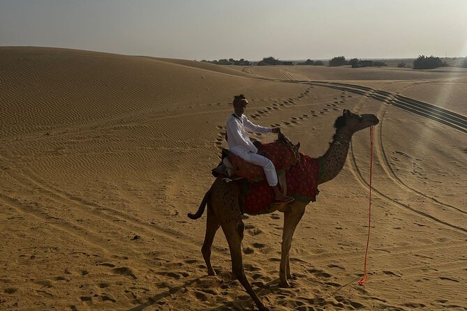 Adventure non touristic camel safari - Sunrise, breakfast, and the ride back