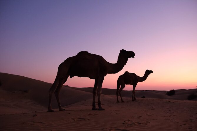 Adventure non touristic camel safari - Kuldhara, an abandoned village with a dark story