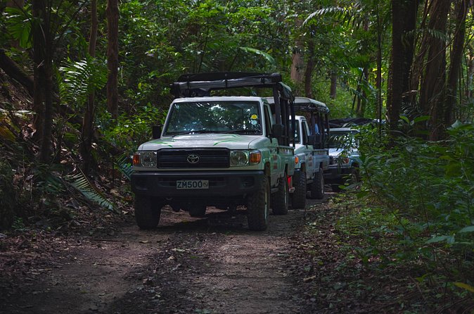 Adventure Safari - Group size, timing, and pickup
