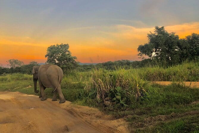 Adventure safari Experience in Hurulu Eco Park, Sri Lanka - The three-hour drive through Hurulu