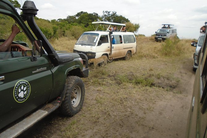 African Wildlife & Nature - 5 Kenya national parks - 6 day Jeep Safari - Day two: Mzima Springs, Amboseli elephants, and Kilimanjaro