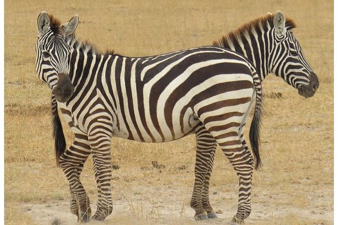 African Wildlife & Nature - 5 Kenya national parks - 6 day Jeep Safari - Day four: Hell’s Gate, then the road to Maasai Mara