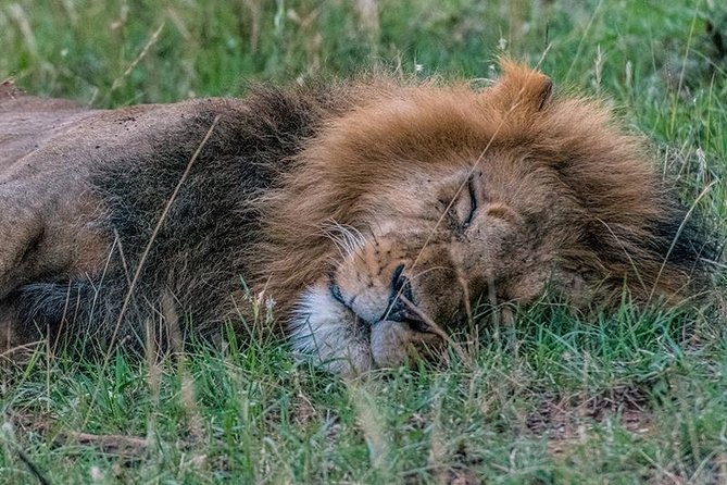 African Wildlife & Nature - 5 Kenya national parks - 6 day Jeep Safari - What the $3,660 price includes