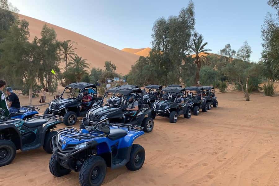 Agadir: Half-Day Desert Dunes Buggy Safari - Forest tracks, dunes, and the beach stop