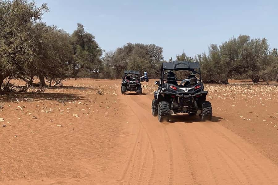 Agadir: Half-Day Desert Dunes Buggy Safari - Mint tea and the Moroccan touch
