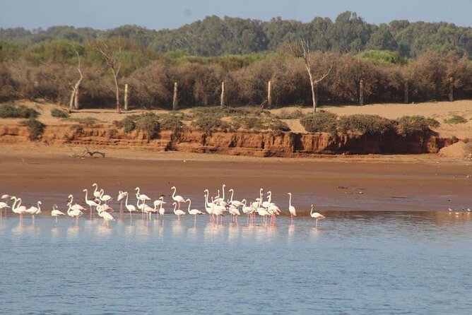 Agadir Jeep Safari Sahara Desert 4x4 Day Tour with Lunch - A full day beyond Agadir’s resort strip