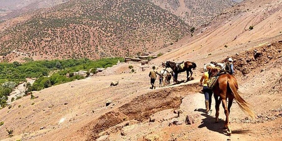 Agadir: Quad Safari with Crocoparc Optional - Crocoparc: more than crocodiles