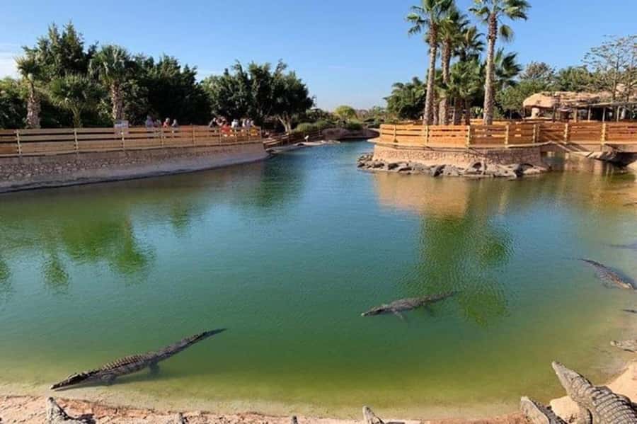 Agadir: Quad Safari with Crocoparc Optional - Hotel pickup and guide support