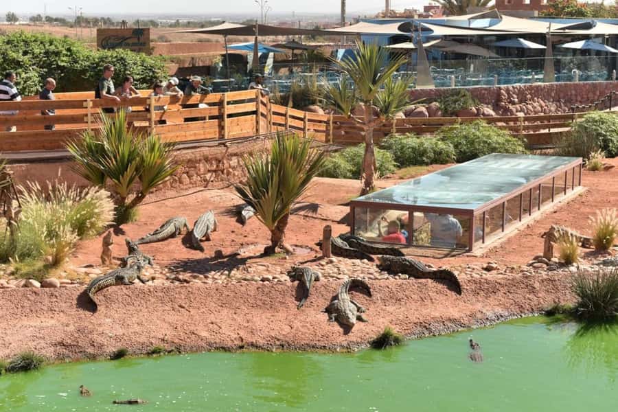 Agadir: Quad Safari with Crocoparc Optional - Who will enjoy this most?