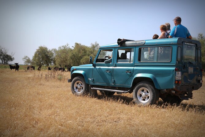 Aigues Mortes: 4x4 photo safari in the Camargue - Quiet villages, native plants, and the value of a local guide
