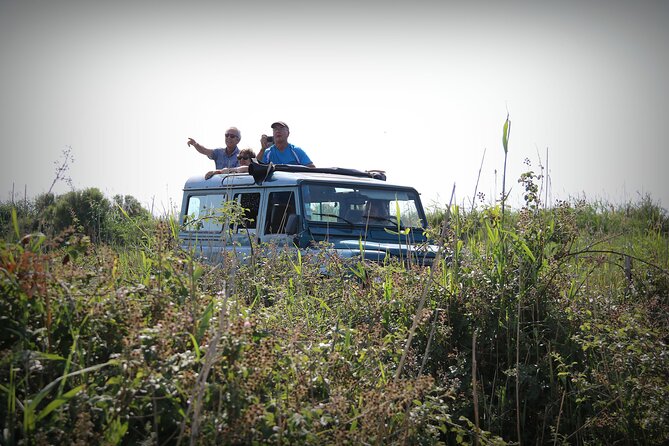 Aigues Mortes: 4x4 photo safari in the Camargue - Who will get the most from this Camargue safari