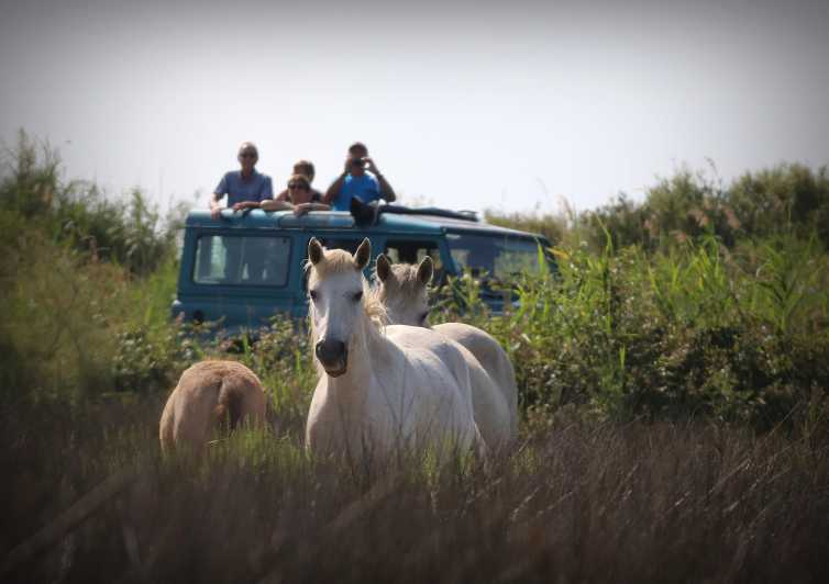Aigues Mortes: Jeep Photo Safari in Camargue - Watching Camargue horses and bulls in open country
