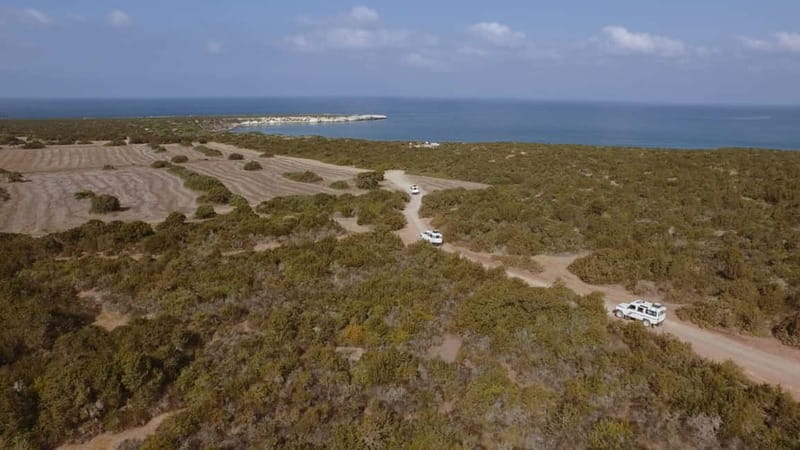 Akamas Jeep Safari Tour from Paphos - Why Akamas works best by 4x4