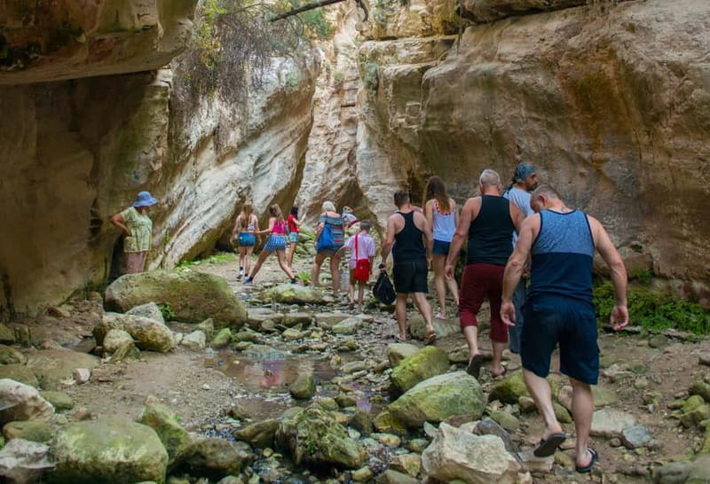Akamas Jeep Safari Tour from Paphos - Lara Bay and the turtle project