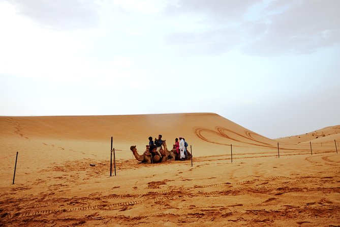 Al Ain Desert Safari with Buffet Dinner - Is $89 a fair price for five hours?