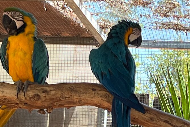 Albufeira Safari w/ Krazy World Visit, Bones & Animals - Is $65.90 a fair price?