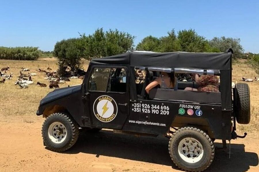 Albufeira Safari with entrance in Krazy World & Bone Chapel - How the guides affect the day