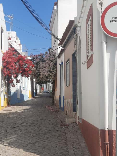 Algarve: 4x4 Safari Tour - from Coastal Wonders to Rural Treasures - Who will enjoy this tour most?